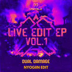 Dual Damage - Get Wrecked 2024 Tool - Nyogiin Edit