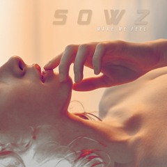 SOWZ - Make Me Feel (Original Mix)