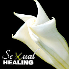 Stream Sexual Music Collection | Listen to Sexual Healing - Hot ...