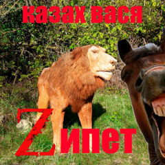 Zипет jerk