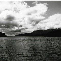 Finnegan Sunny Echoey Selections