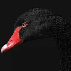 Any Second Now - DM [Black Swan Nightcore up-Bpm Cover], 2022