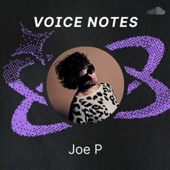 Voice Notes: Joe P on "guilt. hole."