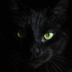 The Uninvited Guest