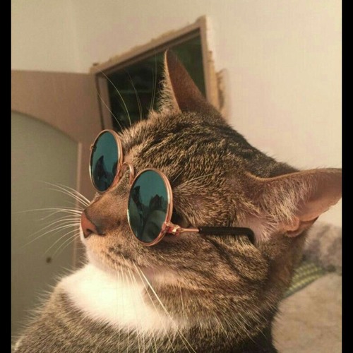 Stephanie [ Jersey club remix ] by Oreeyo beats