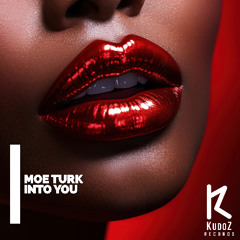 Moe Turk - Into You