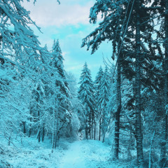 The Sound of Snow (feat. Oatmello)