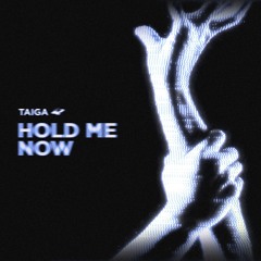TAIGA - Hold Me Now