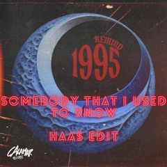 RE/MIND X Gotye - 1995 X Somebody That I Used To Know (HAAS Edit)