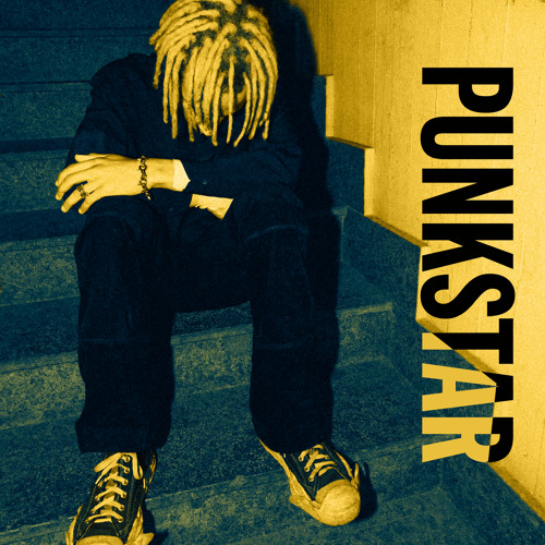 SHOW ME HOW 2 BE A PUNKSTAR!
