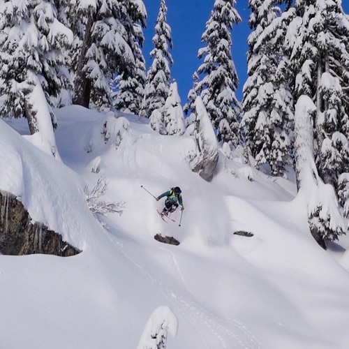 PostcardsFromParadise