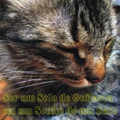 Ser um Solo de Guitarra em um Sonho de um Gato