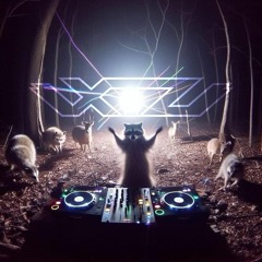 1234 VS Bringin It Back Vs Lasers Vs Sexy Bitch Vs Laser  - XTZ Radio Edit