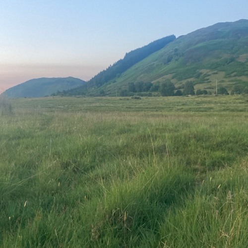 ｰV me + 𝕽 - short cover