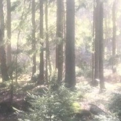 saremo astronauti ^w^