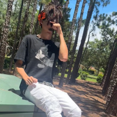 (whotfis2k) ride or die prod. brvn x 1flave