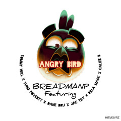 ANGRY BIRD