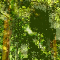 linakamura - Night Greets The Woods