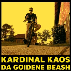 Kardinal Kaos - Schiach