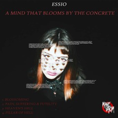 PREMIERE | Essio - Pain, Suffering & Futility [MNVR001]