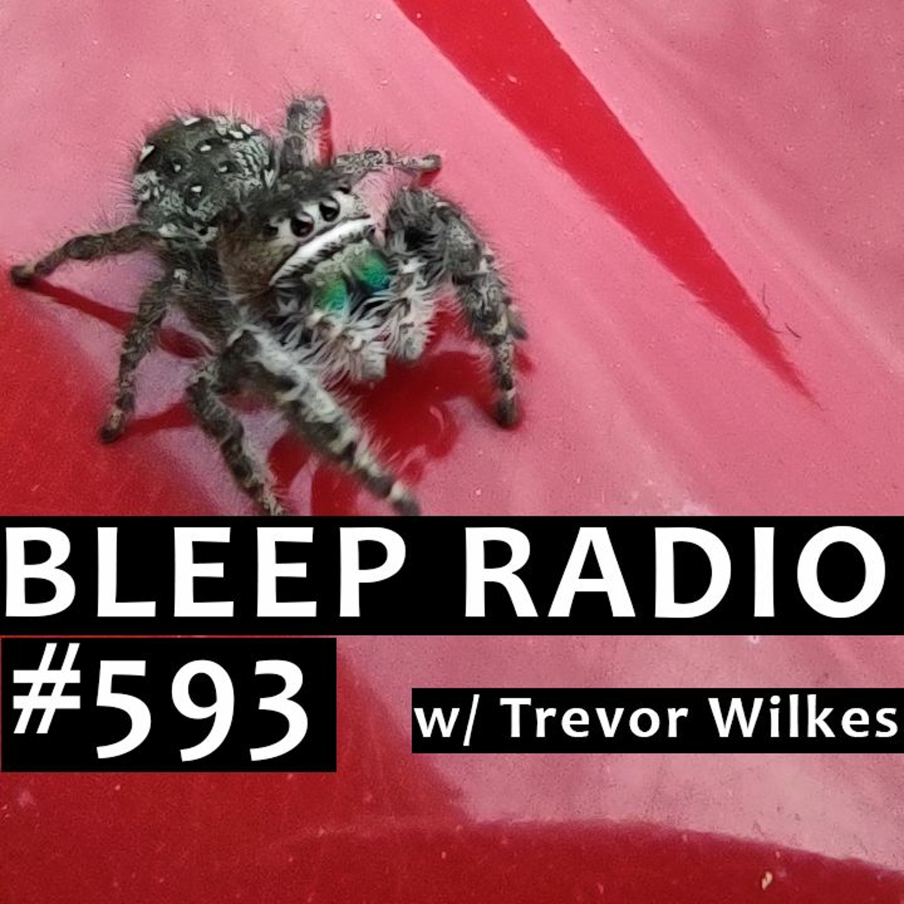 Bleep Radio w/ Trevor Wilkes