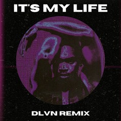 Dr. Alban - It's My Life (DLVN Remix)