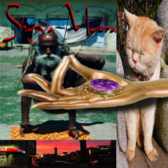 Shunya Mudra🌺 (glazz)