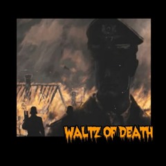 swallow the moon - WALTZ OF DEATH  (Instrumental)