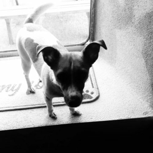 I Want To Be Jolly (like You)