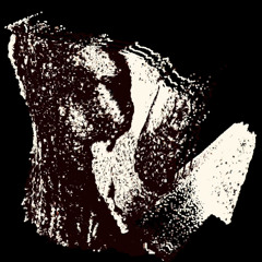 I am become death (a silent wish fulfilled)