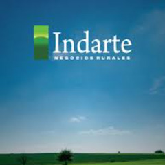 Téc. Mktg. Guadalupe Indarte Urrestarazú 251125