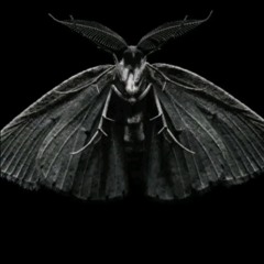 move sum  prod. tikdoff