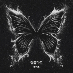 박진주 - 질풍가도