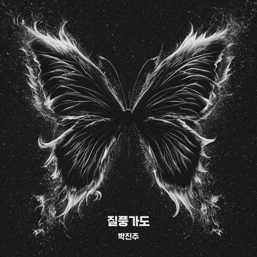 박진주 - 질풍가도