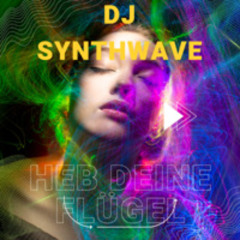 Heb Deine Flügel -DJ Synthwave