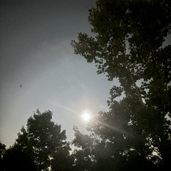 planetary