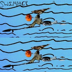 an album by swimmer