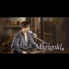 Marigold マリーゴールド