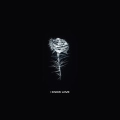 Tate McRae - I know love ft. The Kid LAROI (S!XTEENOR Remix)