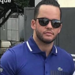 the dance of the stallions