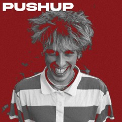 18K - Pushup (Ander Collins Flip)