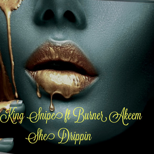 King Snipe ft Burner Akeem   She Drippin