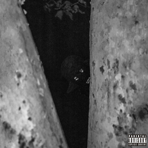 IDC (feat. Trippie Redd)