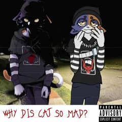 Why Dis Cat Look So Mad [Prod. DirtyyMoncler] ###codeblue (ALL PLATFORMS)