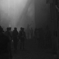 frenchBPM - Caméléonidés