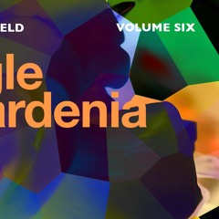 Jungle Gardenia (Mike Oldfield Cover)