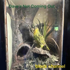 Dave’s not coming out