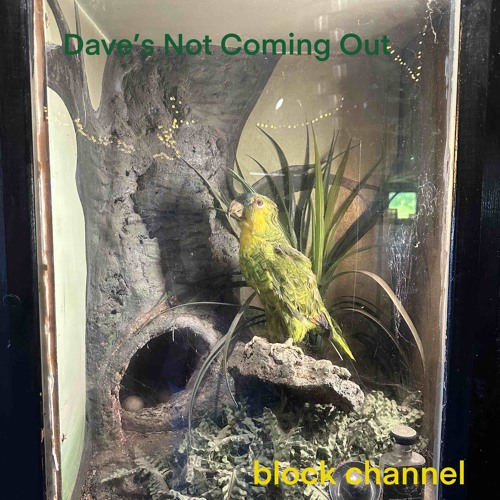 Dave’s not coming out