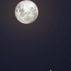 يوم يطرونك ):