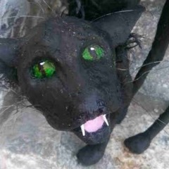 cool cats w sleezer7 prod me